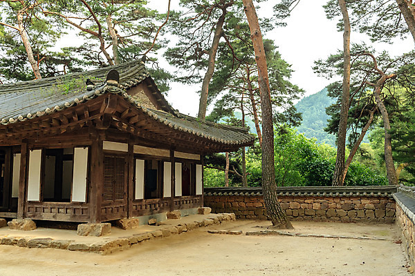 포토 JPG 주간 여행 고건축 한국 풍경 사람없음 야외 여름 관광지 여름풍경 소나무 강원도 국내여행 영월 청령포 영월10경 단종어소 국내포토 자연요소 나무 건축물 계절 아시아 명승지 파일형식 여름_계절