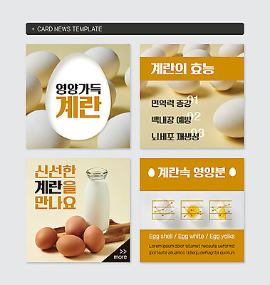 PSD 템플릿 웹템플릿 사람없음 계란 우유 영양 면역력 영양분 카드뉴스 이미지템플릿 유제품 알 파일형식