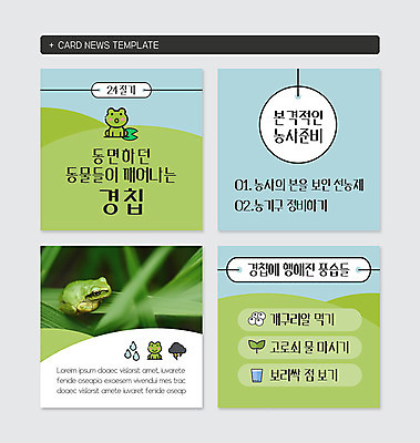 PSD 템플릿 웹템플릿 개구리 사람없음 초록색 파란색 농사 청개구리 겨울잠 경칩 카드뉴스 이미지템플릿 컬러 농업 양서류 잠 절기 파일형식