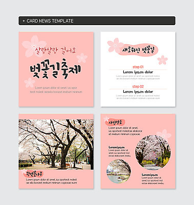 PSD 템플릿 공원 분홍색 웹템플릿 사람없음 축제 벚꽃 벚꽃축제 카드뉴스 지역축제 대한민국축제 이미지템플릿 공공시설 꽃 컬러 꽃축제 파일형식