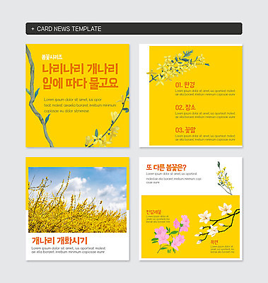 PSD 템플릿 웹템플릿 봄꽃 사람없음 노란색 개화 개나리 진달래 목련 카드뉴스 이미지템플릿 꽃 컬러 봄 파일형식