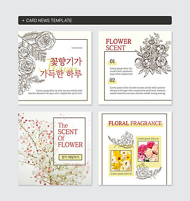 PSD 템플릿 꽃 웹템플릿 사람없음 안개꽃 카드뉴스 이미지템플릿 식물 한해살이풀 파일형식