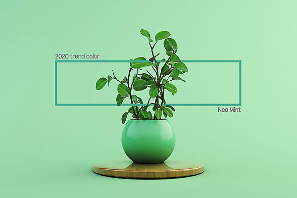 PSD 식물 편집이미지 화분 사각프레임 사람없음 유행 오브젝트 네오민트 트렌드컬러 이미지편집 컬러 프레임 사각형 민트색 파일형식