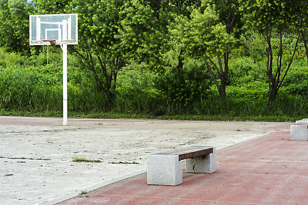 포토 JPG 주간 나무 공원 벤치 의자 휴식 풍경 사람없음 야외 여름 기다림 농구대 휴식처 국내포토 자연요소 식물 계절 공공시설 가구 컨셉 모션 골대 파일형식