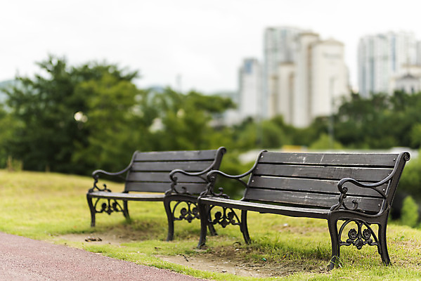 포토 JPG 주간 공원 벤치 의자 휴식 풍경 사람없음 야외 아웃포커스 여름 기다림 휴식처 국내포토 자연요소 계절 공공시설 가구 컨셉 모션 촬영기법 파일형식