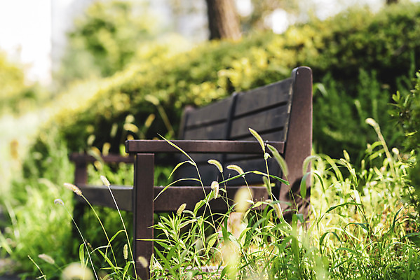 포토 JPG 주간 공원 벤치 의자 휴식 풍경 근접촬영 사람없음 야외 아웃포커스 여름 기다림 강아지풀 휴식처 국내포토 자연요소 식물 계절 공공시설 뷰포인트 가구 컨셉 모션 촬영기법 한해살이풀 파일형식