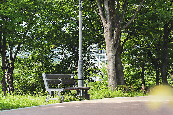 포토 JPG 주간 나무 공원 가로등 벤치 의자 휴식 풍경 사람없음 야외 여름 기다림 휴식처 국내포토 자연요소 식물 계절 공공시설 가구 컨셉 모션 파일형식