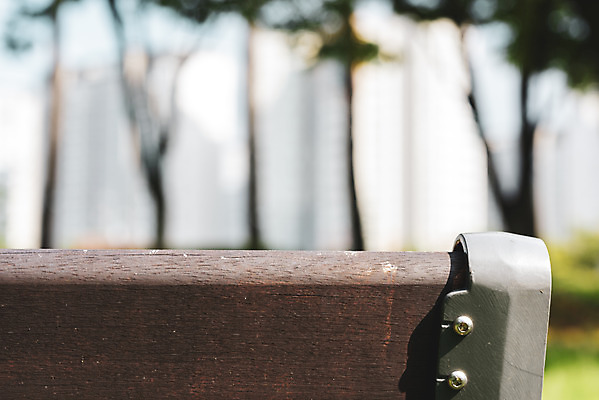 포토 JPG 주간 공원 벤치 의자 휴식 풍경 근접촬영 사람없음 야외 아웃포커스 여름 기다림 휴식처 국내포토 자연요소 계절 공공시설 뷰포인트 가구 컨셉 모션 촬영기법 파일형식