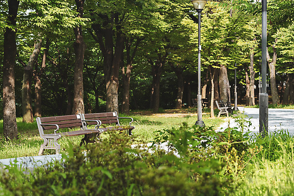 포토 JPG 주간 공원 가로등 벤치 의자 휴식 풍경 사람없음 야외 여름 풀 기다림 휴식처 국내포토 자연요소 식물 계절 공공시설 가구 컨셉 모션 파일형식