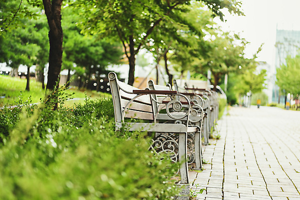 포토 JPG 주간 벤치 의자 휴식 거리 풍경 사람없음 야외 아웃포커스 여름 풀 기다림 휴식처 국내포토 자연요소 식물 계절 가구 컨셉 모션 촬영기법 파일형식
