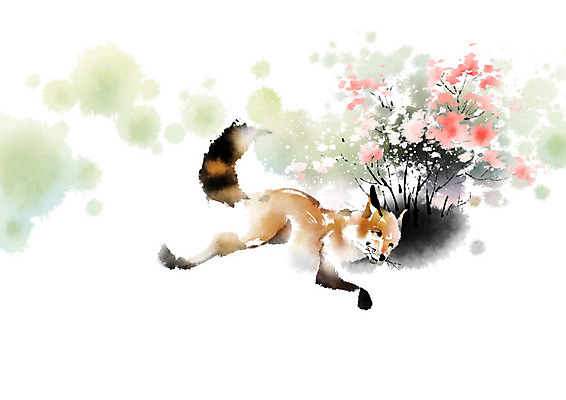 PSD 식물 한마리 꽃 일러스트 캘리그라피 자연 붓터치 사람없음 컬러풀 귀여움 여우 번짐 영모화 국내일러스트 1 컬러 컨셉 포유류 그림 생태계 파일형식 효과