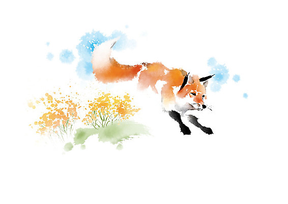 PSD 식물 한마리 꽃 일러스트 캘리그라피 자연 붓터치 사람없음 컬러풀 귀여움 여우 번짐 영모화 국내일러스트 1 컬러 컨셉 포유류 그림 생태계 파일형식 효과