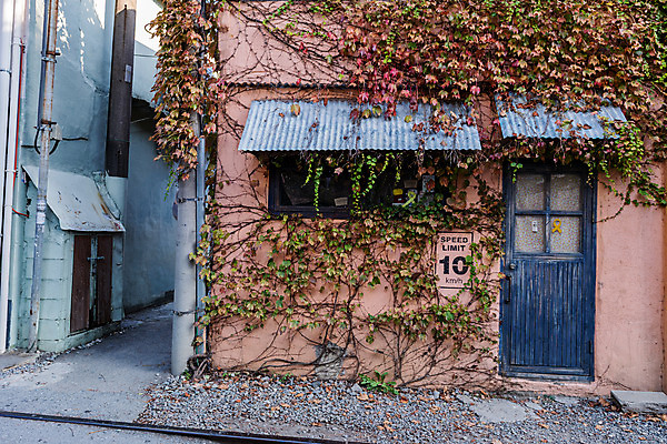 포토 JPG 주간 풍경 사람없음 야외 건물 관광지 기찻길 가을 담쟁이덩굴 국내여행 군산 철길마을 경암동 국내포토 자연요소 건축물 계절 여행 덩굴 전라북도 파일형식