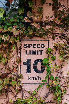 포토 JPG 주간 벽 표시 풍경 사람없음 야외 관광지 가을 담쟁이덩굴 국내여행 군산 속도제한 철길마을 경암동 국내포토 자연요소 계절 여행 금지 덩굴 전라북도 파일형식