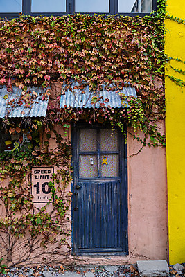 포토 JPG 주간 풍경 사람없음 야외 관광지 문 가을 담쟁이덩굴 국내여행 군산 속도제한 철길마을 경암동 국내포토 자연요소 계절 여행 금지 덩굴 전라북도 파일형식