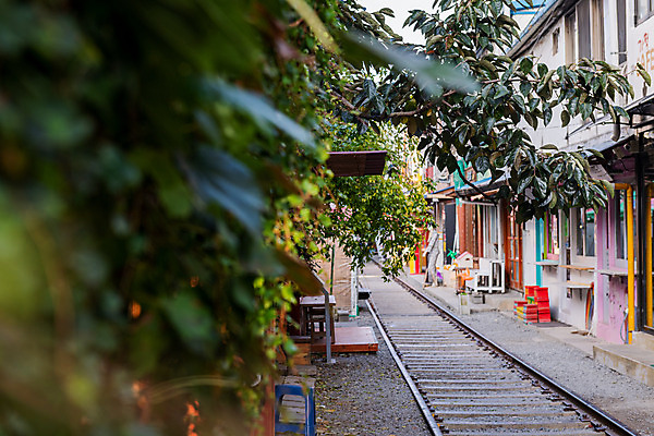 포토 JPG 주간 식물 풍경 사람없음 야외 아웃포커스 관광지 기찻길 가을 담쟁이덩굴 국내여행 군산 철길마을 경암동 국내포토 자연요소 계절 여행 촬영기법 덩굴 전라북도 파일형식