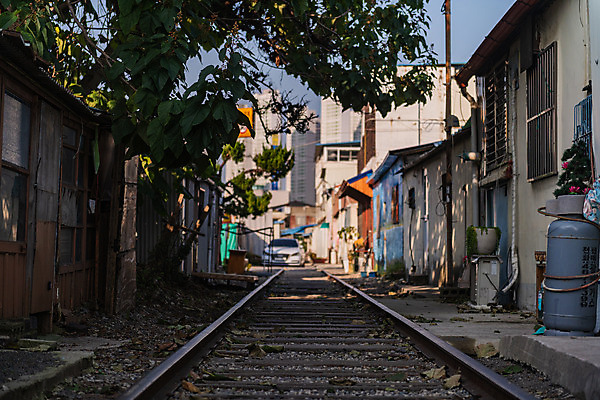 포토 JPG 주간 나무 풍경 사람없음 야외 건물 관광지 기찻길 가을 국내여행 군산 철길마을 경암동 국내포토 자연요소 식물 건축물 계절 여행 전라북도 파일형식