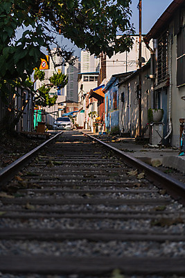 포토 JPG 주간 나무 풍경 사람없음 야외 관광지 기찻길 가을 국내여행 군산 철길마을 경암동 국내포토 자연요소 식물 계절 여행 전라북도 파일형식