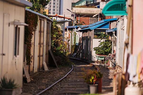 포토 JPG 주간 화분 풍경 사람없음 야외 관광지 기찻길 가을 주택가 국내여행 군산 철길마을 경암동 국내포토 자연요소 계절 여행 전라북도 파일형식