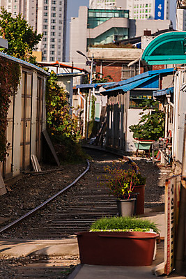 포토 JPG 주간 화분 풍경 사람없음 야외 관광지 기찻길 가을 주택가 국내여행 군산 철길마을 경암동 국내포토 자연요소 계절 여행 전라북도 파일형식