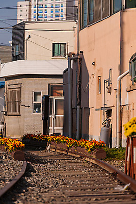 포토 JPG 주간 풍경 사람없음 야외 관광지 기찻길 가을 국내여행 군산 철길마을 경암동 국내포토 자연요소 계절 여행 전라북도 파일형식