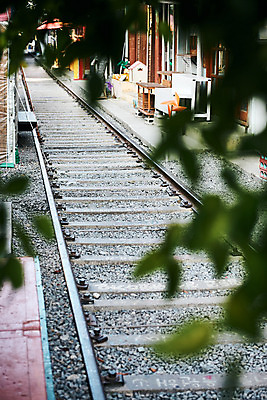 포토 JPG 주간 나뭇잎 풍경 사람없음 야외 아웃포커스 관광지 기찻길 가을 국내여행 군산 철길마을 경암동 국내포토 자연요소 계절 여행 잎 촬영기법 전라북도 파일형식