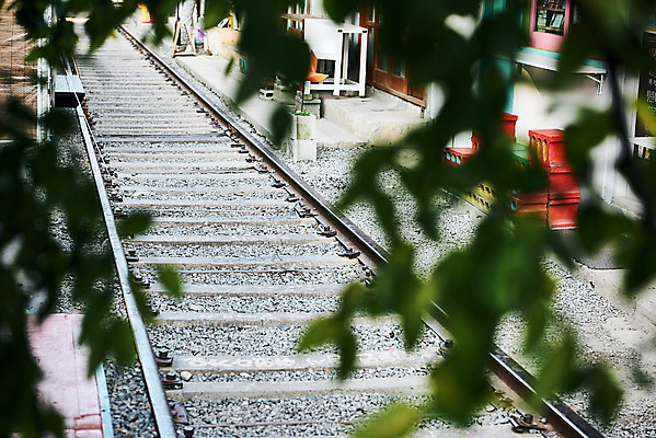 포토 JPG 주간 나뭇잎 풍경 사람없음 야외 아웃포커스 관광지 기찻길 가을 국내여행 군산 철길마을 경암동 국내포토 자연요소 계절 여행 잎 촬영기법 전라북도 파일형식