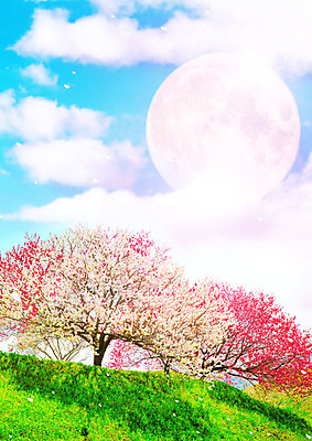 PSD 구름 편집이미지 꽃잎 백그라운드 자연 하늘 풍경 잔디 초원 사람없음 컬러풀 봄풍경 봄 달 화려 벚나무 카피스페이스 이미지편집 자연요소 나무 식물 계절 꽃 컬러 컨셉 공백 벚꽃 생태계 파일형식