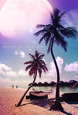 PSD 구름 편집이미지 바다 백그라운드 자연 사람 풍경 해변 두명 여름 파란색 모래사장 야자수 보라색 달 화려 휴양지 해먹 카피스페이스 이미지편집 자연요소 나무 계절 컬러 컨셉 공백 장소 침대 생태계 파일형식