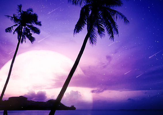 PSD 구름 편집이미지 별 바다 섬 백그라운드 자연 밤하늘 풍경 해변 사람없음 여름 파란색 야자수 보라색 달 화려 야간 유성 휴양지 카피스페이스 이미지편집 자연요소 나무 계절 컬러 컨셉 하늘 공백 장소 생태계 파일형식