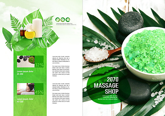 PSD 템플릿 표지디자인 북디자인 출판디자인 여자 내지 리플렛 북커버 한명 팜플렛 성인 초록색 뷰티 한국인 마사지 스톤 스톤마사지 성인여자한명만 입욕소금 이미지템플릿 1 컬러 사람 동양인 미용용품 소금 여자한명만 성인여자만 파일형식