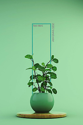 PSD 식물 편집이미지 화분 사각프레임 사람없음 유행 오브젝트 네오민트 트렌드컬러 이미지편집 컬러 프레임 사각형 민트색 파일형식