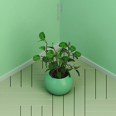 PSD 식물 편집이미지 화분 벽 사각프레임 사람없음 유행 오브젝트 네오민트 트렌드컬러 이미지편집 컬러 프레임 사각형 민트색 파일형식