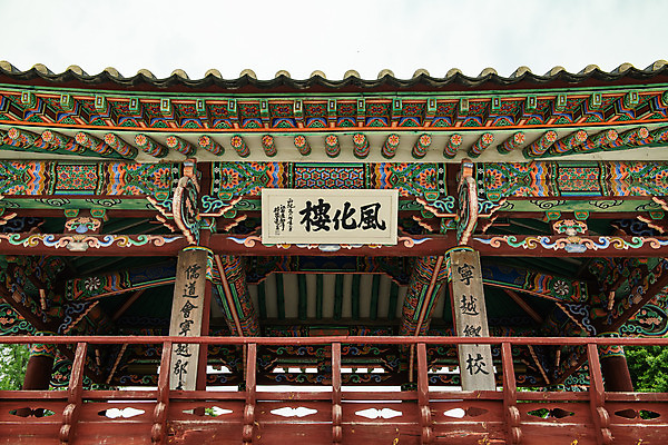 포토 JPG 주간 여행 한국 단청문양 풍경 사람없음 야외 여름 관광지 여름풍경 정자 대문 강원도 국내여행 명승지 영월 영월향교 풍화루 국내포토 자연요소 문양 건축물 계절 아시아 문 단청 향교 파일형식 여름_계절