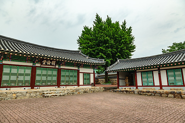 포토 JPG 주간 나무 구름 여행 하늘 한국 풍경 사람없음 야외 여름 관광지 여름풍경 강원도 국내여행 명륜당 명승지 영월 영월향교 국내포토 자연요소 식물 계절 아시아 향교 파일형식 여름_계절