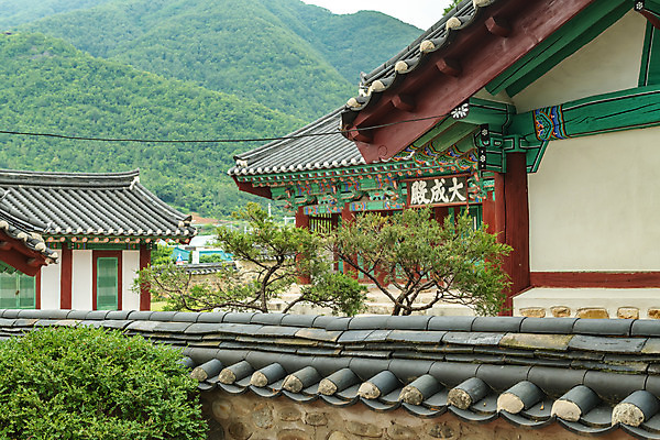 포토 JPG 주간 여행 산 한국 풍경 사람없음 야외 여름 관광지 여름풍경 강원도 국내여행 명승지 영월 기와담장 영월향교 대성전 국내포토 자연요소 계절 아시아 기와 담장 성전 향교 파일형식 여름_계절