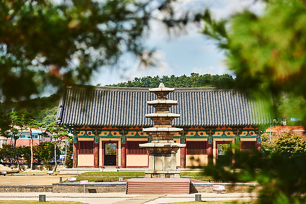 포토 JPG 주간 한국전통 여행 유적지 풍경 사람없음 야외 아웃포커스 관광지 세계문화유산 문화재 가을 역사 한국사 조선시대 부여 부여정림사지 부여정림사지오층석탑 백제역사유적지구 국내포토 자연요소 전통 계절 고건축 한국 촬영기법 석탑 충청남도 파일형식