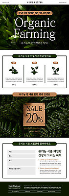 PSD 식물 템플릿 ZIP 웹템플릿 나뭇잎 사람없음 초록색 세일 유기농 뉴스레터 고사리 이미지템플릿 웰빙 컬러 잎 채소 파일형식