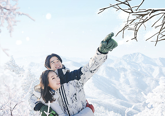 PSD 나무 편집이미지 커플 여자 남자 설경 겨울 상반신 20대 성인 한국인 나뭇가지 눈 가리킴 성인만 이미지편집 자연요소 식물 계절 관계 날씨 사람 동양인 풍경 손짓 청년 파일형식