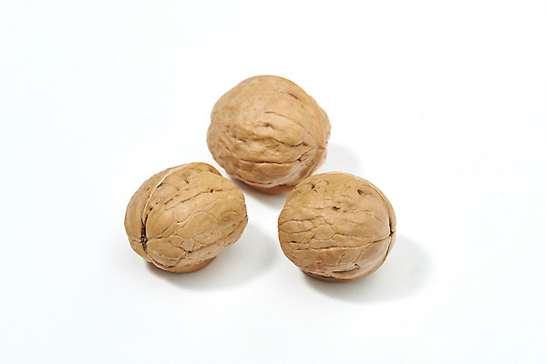 포토 JPG 스튜디오촬영 웰빙 실내 건강 누끼 사람없음 견과류 세개 오브젝트 흰배경 호두 부럼 웰빙음식 슈퍼푸드 국내포토 백그라운드 3 내부 흰색 정월대보름 건강식품 건강식 파일형식
