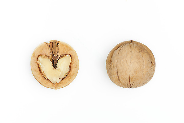 포토 JPG 스튜디오촬영 웰빙 단면 실내 건강 누끼 사람없음 하이앵글 견과류 두개 오브젝트 흰배경 알맹이 호두 부럼 웰빙음식 플랫레이 슈퍼푸드 국내포토 뷰포인트 백그라운드 2 내부 흰색 플랫 정월대보름 건강식품 건강식 파일형식