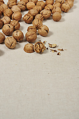 포토 JPG 스튜디오촬영 웰빙 실내 건강 사람없음 여러개 견과류 오브젝트 알맹이 호두 부럼 웰빙음식 부스러기 베이지색배경 슈퍼푸드 국내포토 다수 백그라운드 내부 정월대보름 건강식품 건강식 베이지색 파일형식