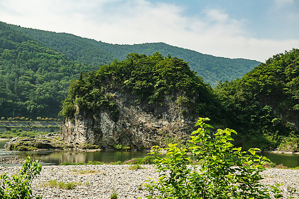 포토 JPG 주간 나무 여행 산 한국 풍경 사람없음 야외 여름 관광지 맑음 여름풍경 강원도 국내여행 명승지 영월 동강 전경 둥글바위 국내포토 자연요소 식물 계절 아시아 날씨 강 바위_돌 파일형식 탑뷰 여름_계절