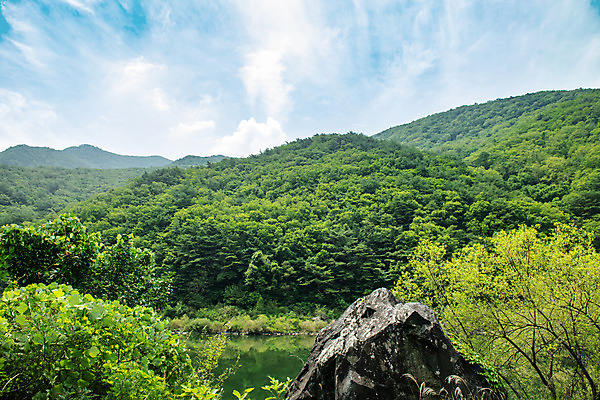 포토 JPG 주간 나무 구름 여행 하늘 산 한국 풍경 사람없음 야외 여름 관광지 계곡 맑음 여름풍경 바위 강원도 국내여행 명승지 영월 동강 전경 영월10경 어라연계곡 국내포토 자연요소 식물 계절 아시아 날씨 강 돌_바위 파일형식 탑뷰 여름_계절
