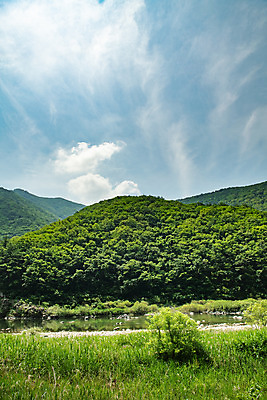 포토 JPG 주간 구름 여행 하늘 산 한국 풍경 사람없음 야외 여름 관광지 계곡 맑음 여름풍경 강원도 국내여행 명승지 영월 동강 전경 영월10경 어라연계곡 국내포토 자연요소 계절 아시아 날씨 강 파일형식 탑뷰 여름_계절