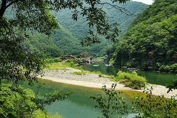 포토 JPG 주간 나무 여행 나뭇잎 한국 풍경 사람없음 야외 여름 관광지 계곡 맑음 여름풍경 강원도 국내여행 명승지 영월 동강 전경 영월10경 어라연계곡 국내포토 자연요소 식물 계절 아시아 잎 날씨 강 파일형식 탑뷰 여름_계절