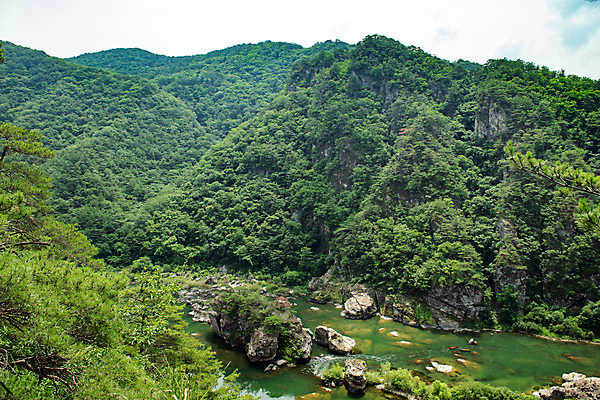 포토 JPG 주간 여행 산 한국 풍경 사람없음 야외 여름 관광지 계곡 맑음 여름풍경 절벽 강원도 국내여행 명승지 영월 동강 전경 영월10경 어라연계곡 국내포토 자연요소 계절 아시아 날씨 강 파일형식 탑뷰 여름_계절