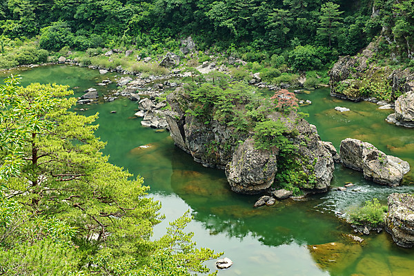 포토 JPG 주간 나무 여행 한국 풍경 사람없음 야외 여름 관광지 계곡 맑음 여름풍경 바위 강원도 국내여행 명승지 영월 동강 전경 영월10경 어라연계곡 국내포토 자연요소 식물 계절 아시아 날씨 강 돌_바위 파일형식 탑뷰 여름_계절