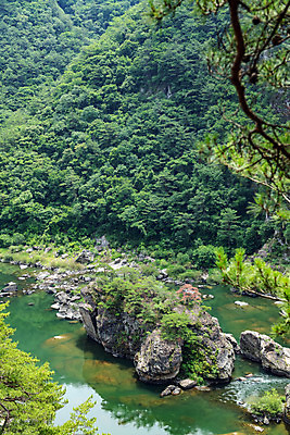 포토 JPG 주간 나무 여행 한국 풍경 사람없음 야외 여름 관광지 계곡 맑음 여름풍경 바위 나뭇가지 강원도 국내여행 명승지 영월 동강 전경 영월10경 어라연계곡 국내포토 자연요소 식물 계절 아시아 날씨 강 돌_바위 파일형식 탑뷰 여름_계절