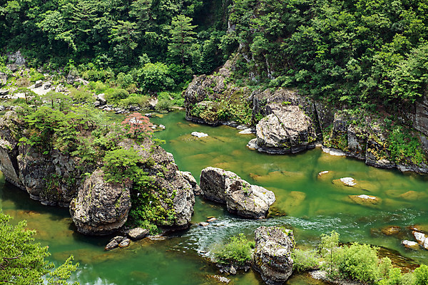 포토 JPG 주간 여행 한국 풍경 사람없음 야외 여름 관광지 계곡 맑음 여름풍경 바위 강원도 국내여행 명승지 영월 동강 전경 영월10경 어라연계곡 국내포토 자연요소 계절 아시아 날씨 강 돌_바위 파일형식 탑뷰 여름_계절